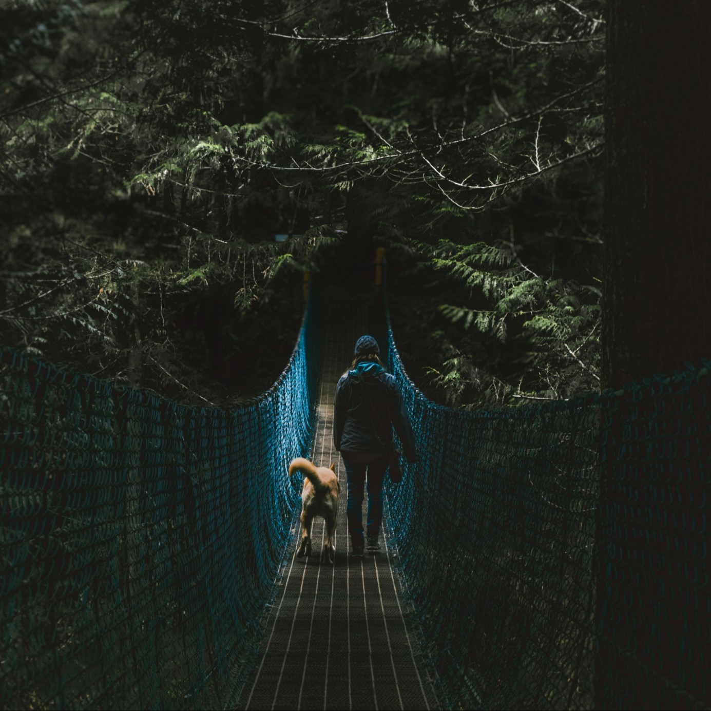 Off beat experiences